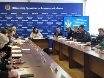 Заседание Экспертного совета при Уполномоченном по правам ребенка во Владимирской области 